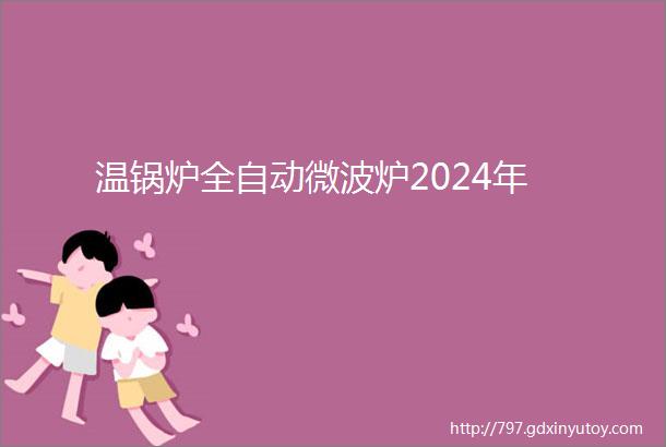 温锅炉全自动微波炉2024年