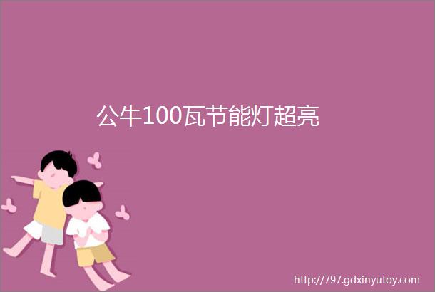 公牛100瓦节能灯超亮