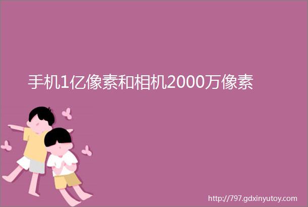 手机1亿像素和相机2000万像素