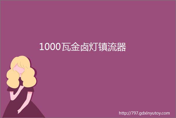 1000瓦金卤灯镇流器