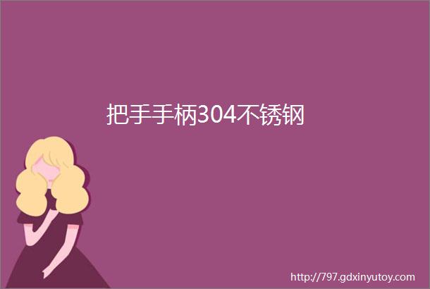 把手手柄304不锈钢