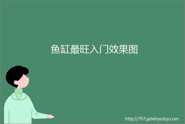 鱼缸最旺入门效果图