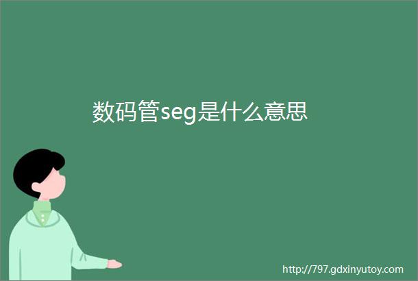 数码管seg是什么意思