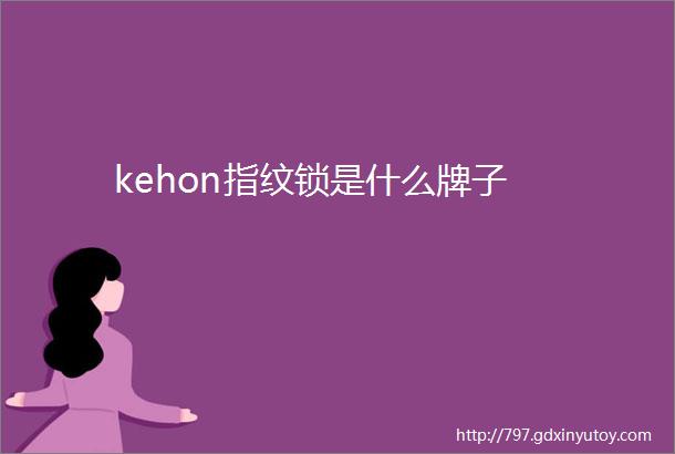 kehon指纹锁是什么牌子