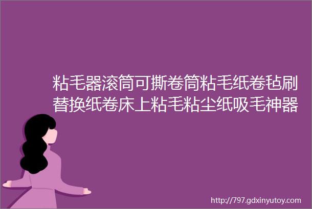 粘毛器滚筒可撕卷筒粘毛纸卷毡刷替换纸卷床上粘毛粘尘纸吸毛神器