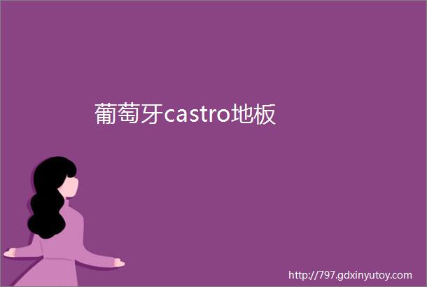 葡萄牙castro地板