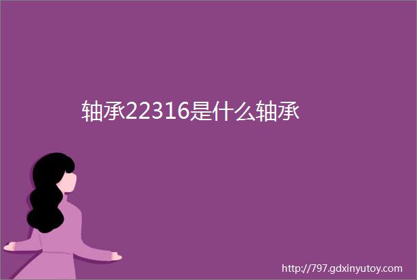 轴承22316是什么轴承