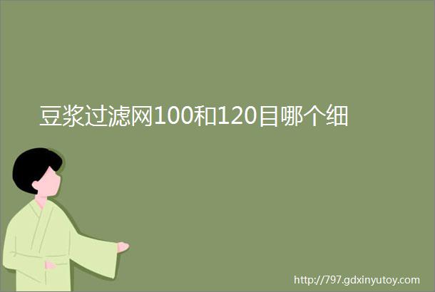 豆浆过滤网100和120目哪个细