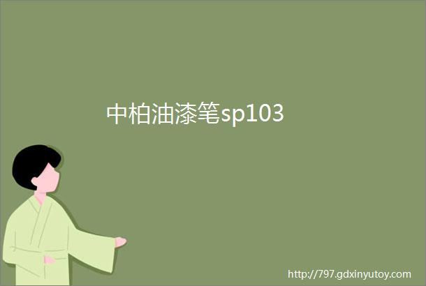 中柏油漆笔sp103