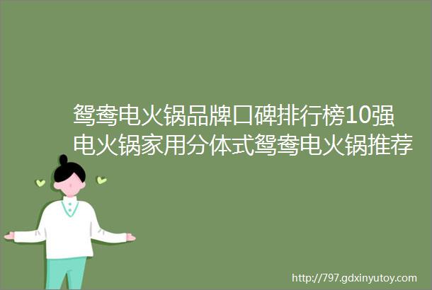 鸳鸯电火锅品牌口碑排行榜10强电火锅家用分体式鸳鸯电火锅推荐2024年