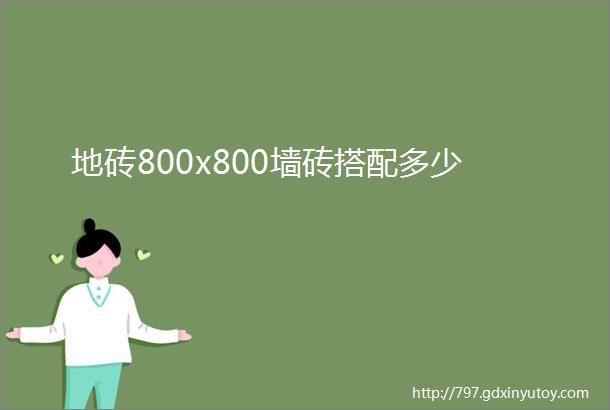 地砖800x800墙砖搭配多少