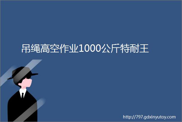 吊绳高空作业1000公斤特耐王