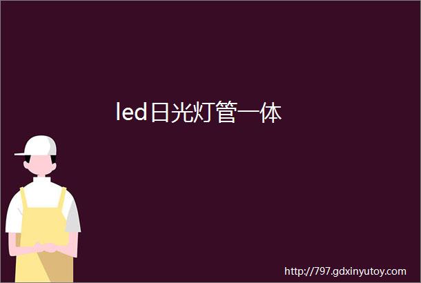 led日光灯管一体