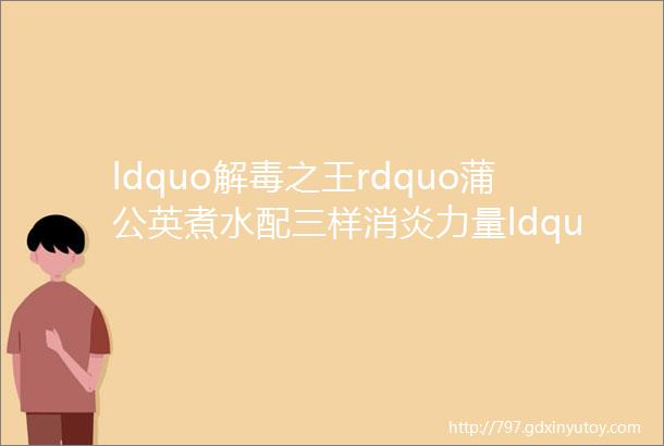 ldquo解毒之王rdquo蒲公英煮水配三样消炎力量ldquo猛如虎rdquo