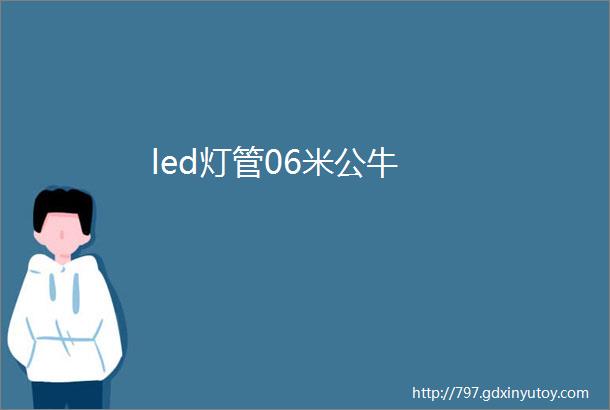 led灯管06米公牛