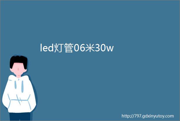 led灯管06米30w