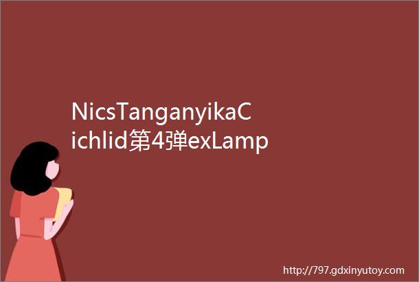 NicsTanganyikaCichlid第4弹exLamprologusbrevis小丑贝