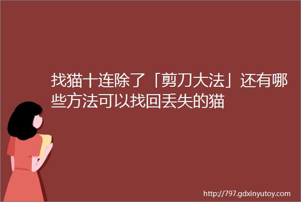 找猫十连除了「剪刀大法」还有哪些方法可以找回丢失的猫