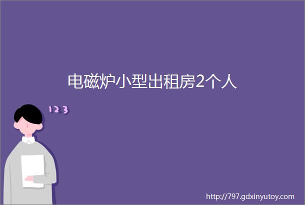 电磁炉小型出租房2个人