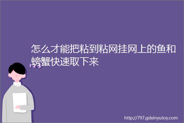 怎么才能把粘到粘网挂网上的鱼和螃蟹快速取下来