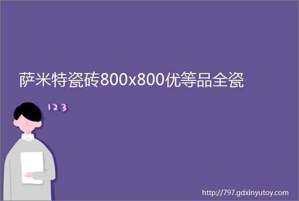 萨米特瓷砖800x800优等品全瓷